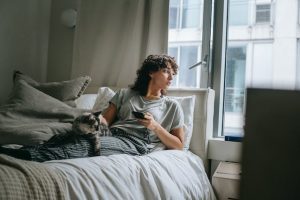 los beneficios de dormir con gatos para los propios gatos