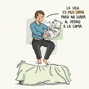 los beneficios de dormir con gatos