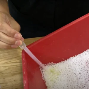 recogida de orina en gatos métodos para hacer en casa