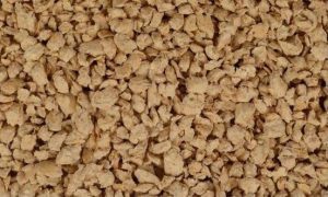 tipos de arenas para gatos