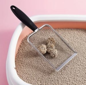 aprende a distinguir los típicos sustratos para gato