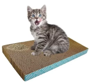 rascador gato cómo hacer que lo use