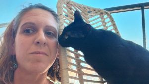 cuidado de gatos a domicilio en Bilbao