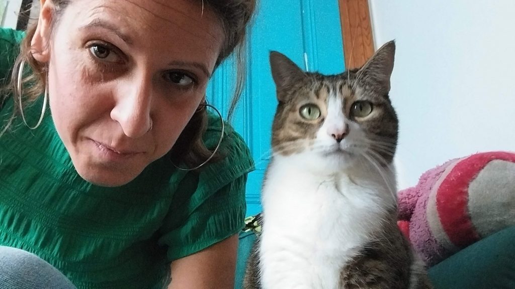 educación felina amable en Bilbao asesorías y acompañamiento de bienestar felino