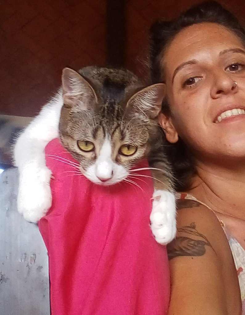 asesoria felina bienestar cuidado de gatos a domicilio bilbao catsitter profesionar
