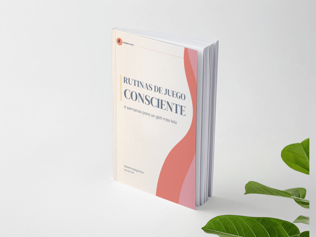 cómo jugar con tu gato