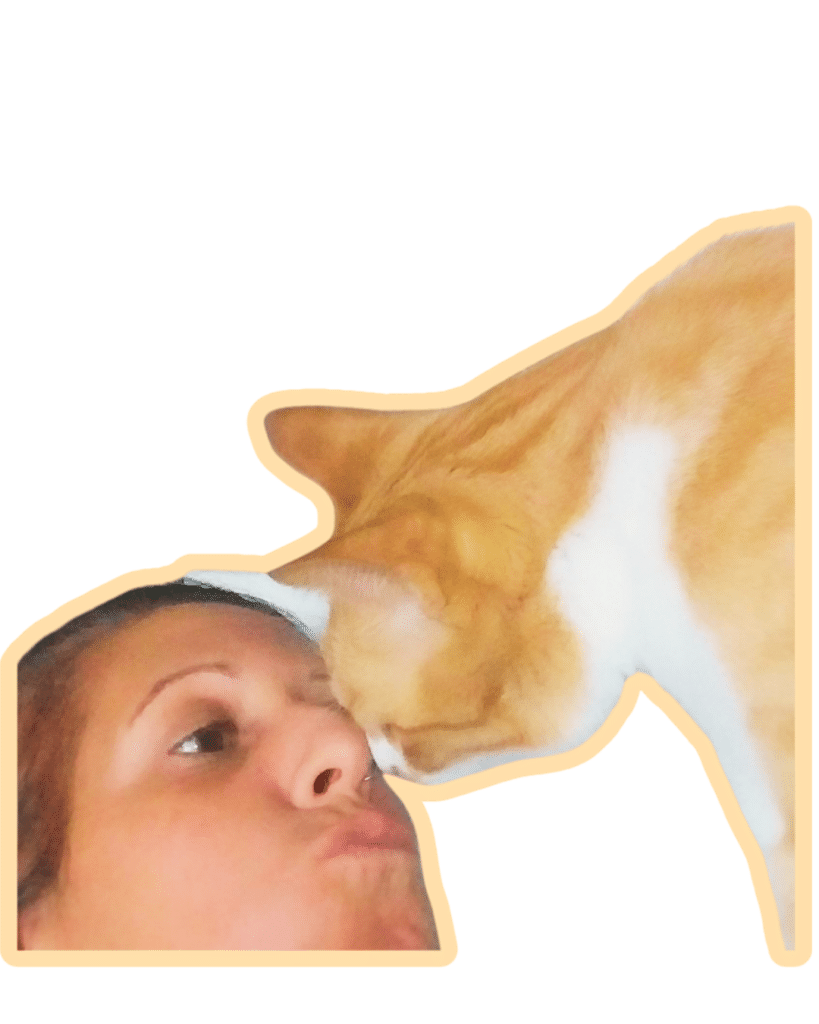catsitting bilbao cuidado de gatos a domicilio