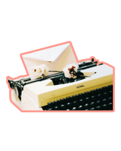 taller escritura creativa con gatos creatividad y cultura catsitting en bilbao cuidado de gatos a domicilio